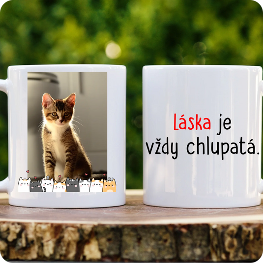 Hrníček - Vlastní foto kočky