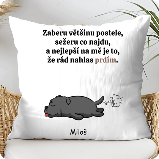 Polštář-bílý-mockup-2